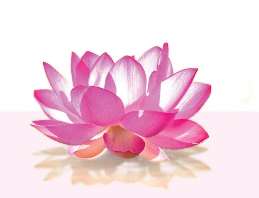পূজায় ইভেন্ট ম্যানেজমেন্ট
