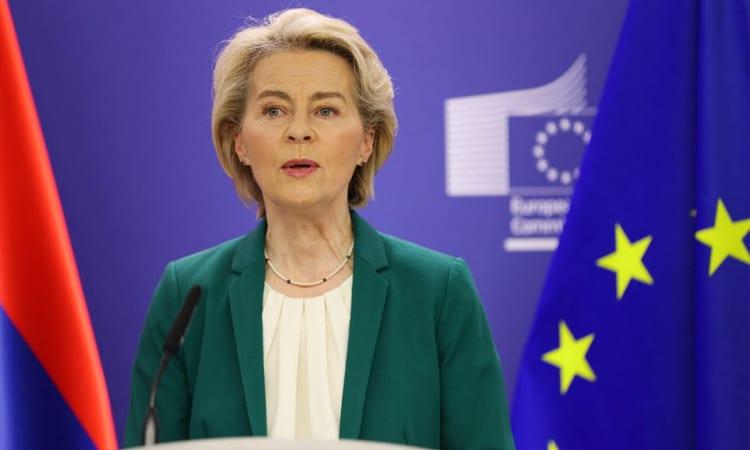 EU chief says still 'lot of work' to resolve border check travel woes | International