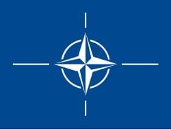 NATO summit offers Turkey defence industry chance to shine | International