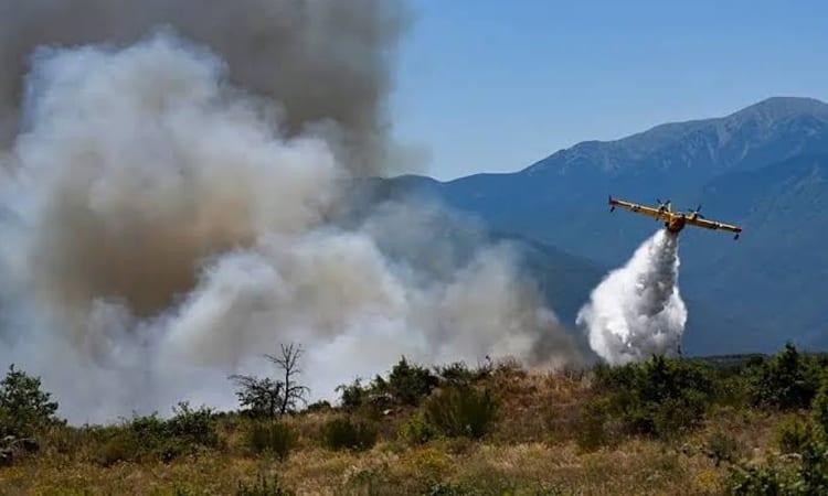 EU deploys four water-bombing planes to help fight French wildfires | International
