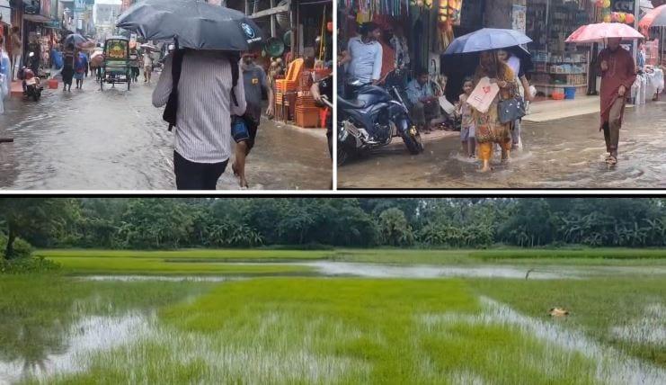 Low-lying areas flooded,  Aman seedbeds  under threat in Jhalakathi  | District