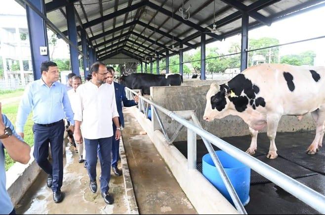 Govt taking effective steps to improve indigenous cattle breeds: State  Minister | Others