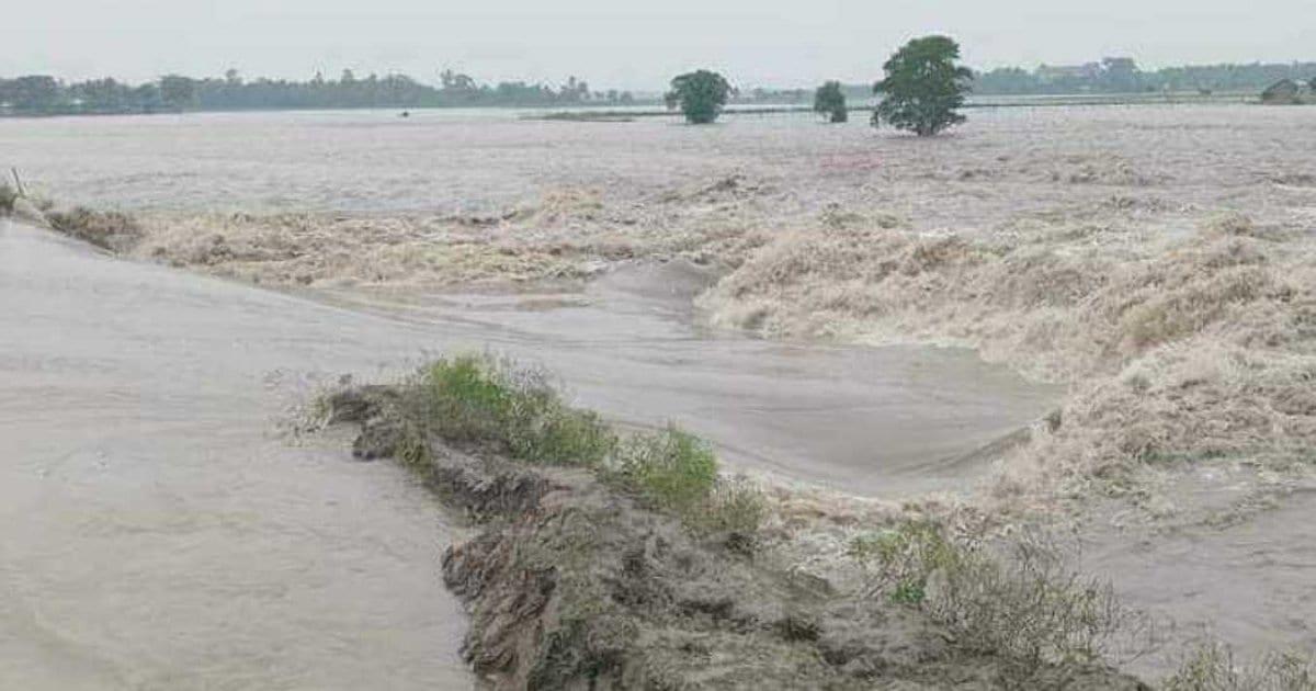 5 rivers flowing above danger level: FFWC | News