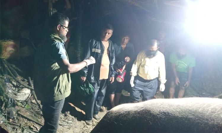 Treatment underway for injured wild elephant following PM's directive | News Flash