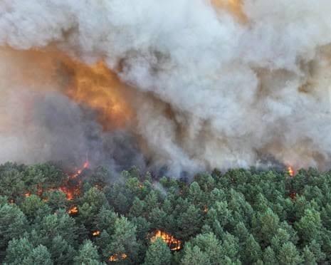 Planes fight fire in Fontainebleau forest near Paris | International