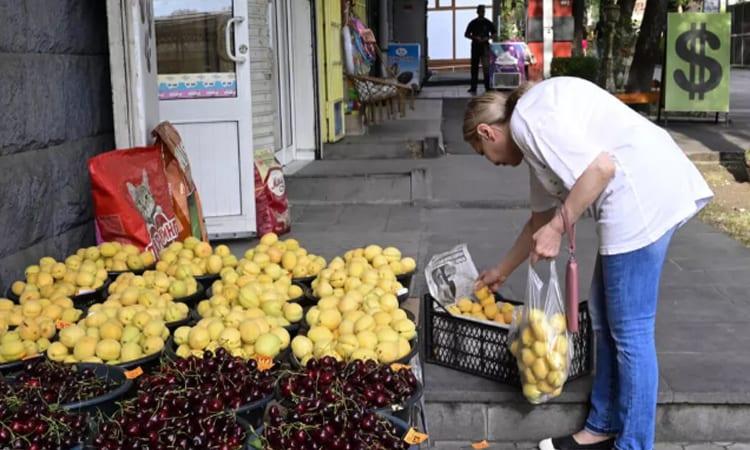 Armenian apricots become geopolitical battleground with Russia | International