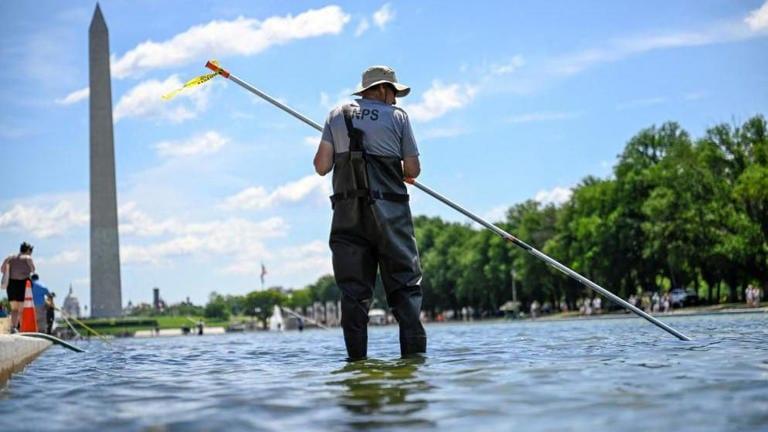 Trump says Reflecting Pool to be refilled after repairs | International