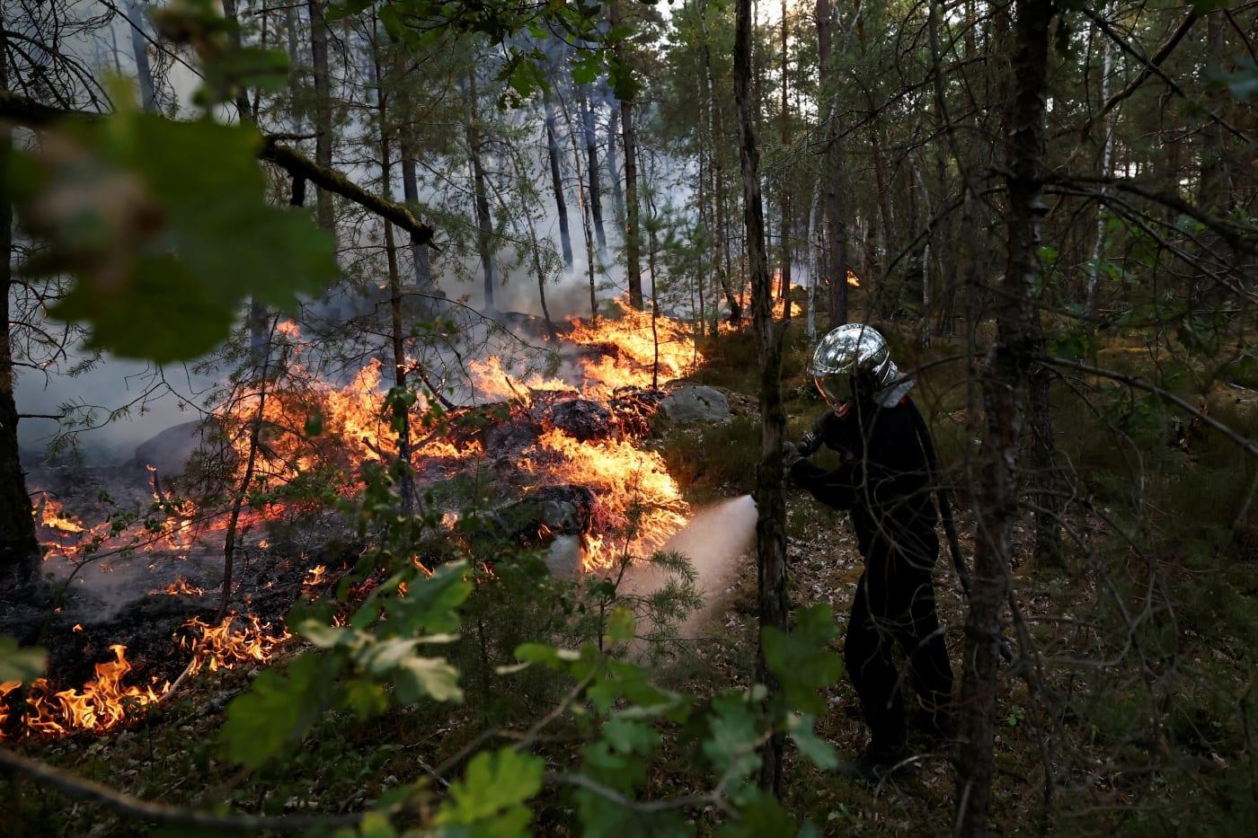 Wildfires ravage over 1,300 hectares of historic forest near Paris | International