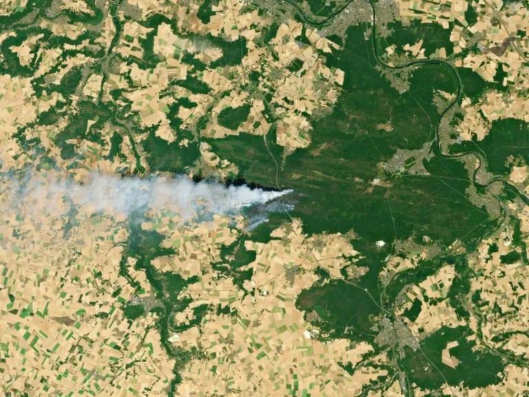 Wildfires advance in forest south of Paris | International