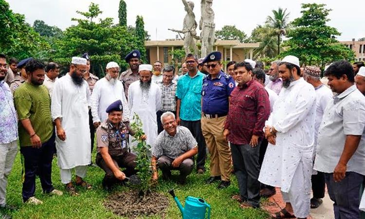 KUET, KMP jointly hold tree plantation programme | News