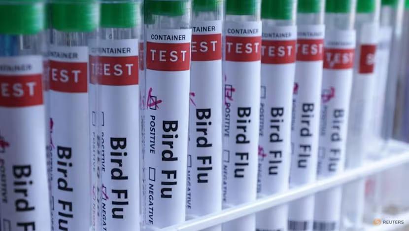 New Zealand detects H5 bird flu | International