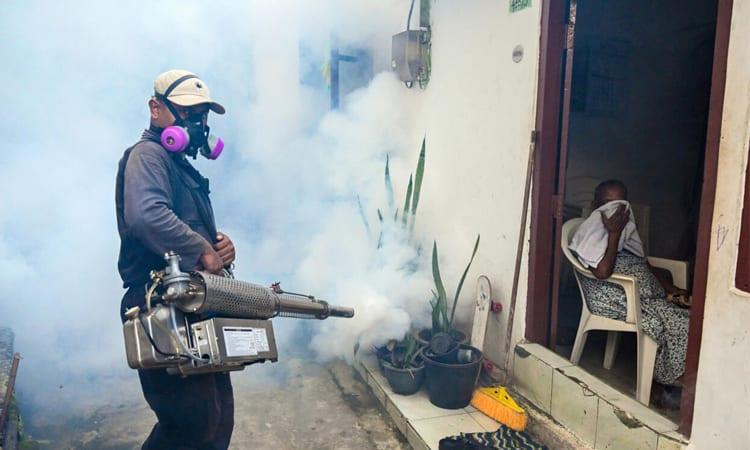 Sri Lanka expands anti-dengue drive as deaths mount | International