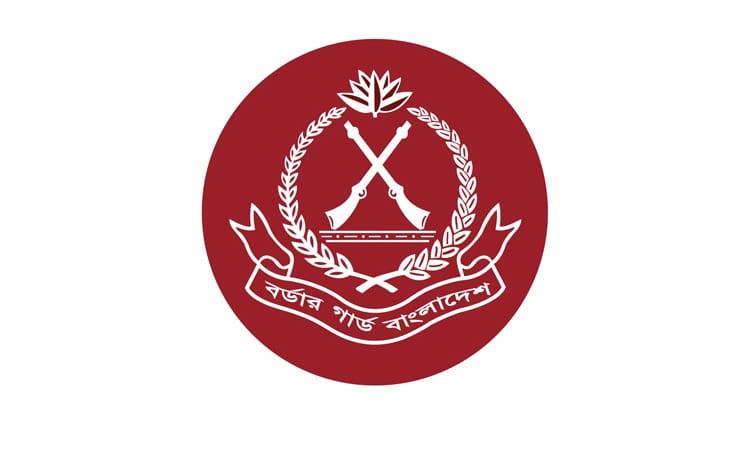 BGB arrests smuggler with 8 gold bars worth Tk 1.76cr in Chuadanga | Others