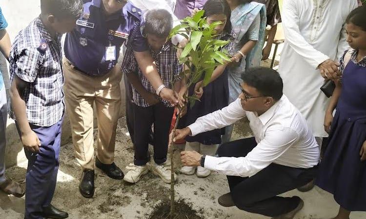 Tree plantation inaugurates in Rajshahi Govt Primary Schools | District