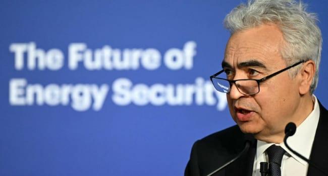 Investment in critical minerals falls in 2025: IEA | Business
