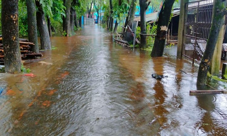 Flood situation improves in several districts; relief operations continue | Others
