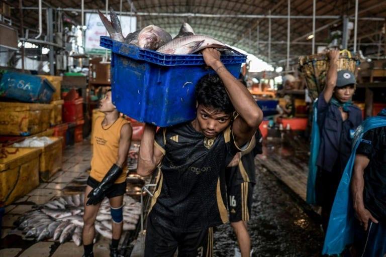 Fishing for profit at Yangon's bustling markets | Business