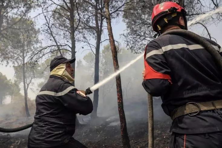 Six killed in Algeria forest fires: interior ministry | International
