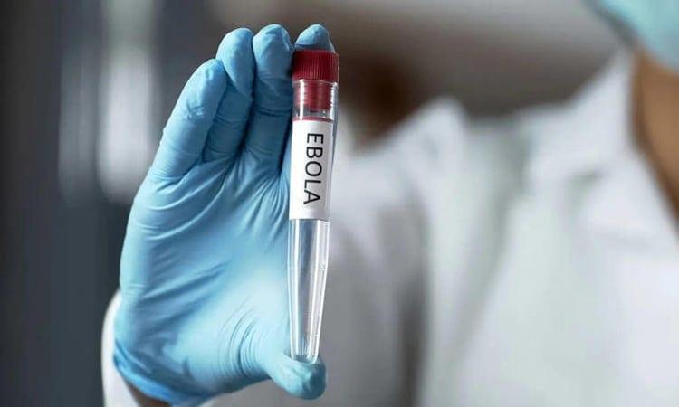 Over 1,000 deaths recorded in Ebola outbreak in DRC, Uganda: WHO | News