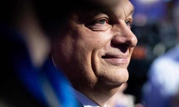Hungary's Orban-era top prosecutor resigns | International