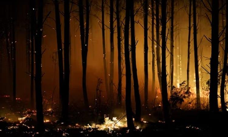 Wildfires ravage parts of southern France, Italy and Spain | International