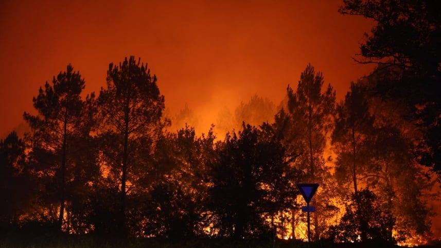 Deadly wildfires force thousands from homes in parts of Europe | International