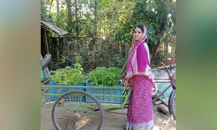 From struggle to success: Jahanara's nursery venture wins national acclaim | Special Stories