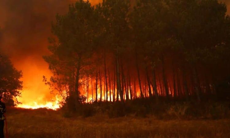 Residents return after wildfire near Madrid | International