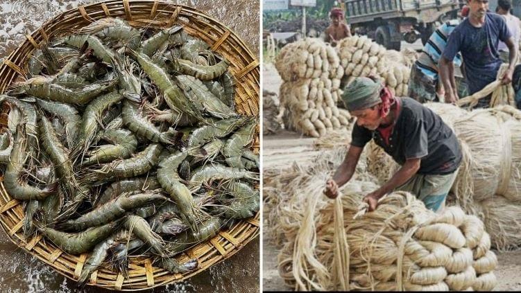 Khulna region earns Tk 4,886 crore from exports in FY2025-26: EPB | Others