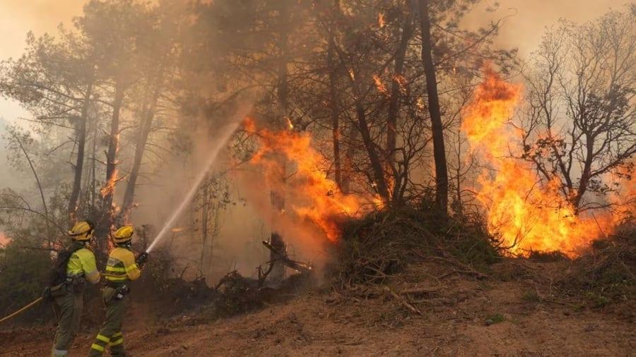 Wildfires send nearly 260,000 fleeing in France and Spain | International