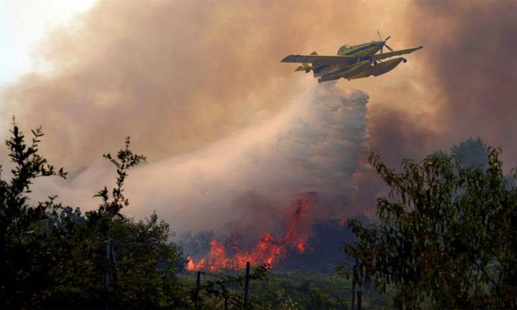 With minutes to flee, Spain fire evacuees grab what they can | International