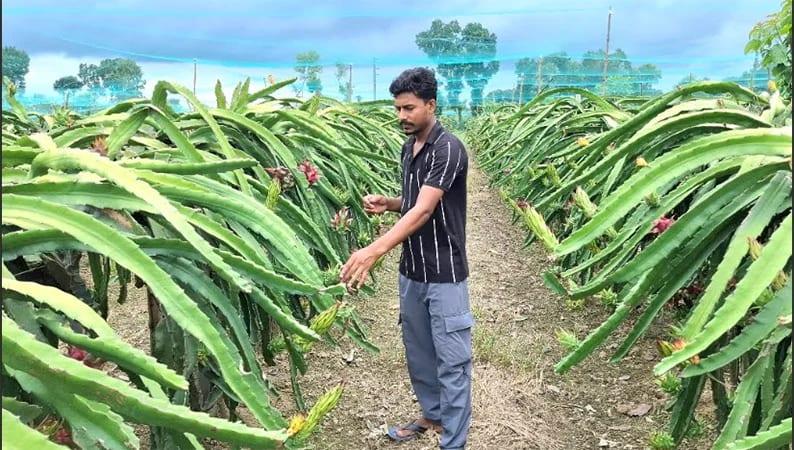 Jhenaidah's Abu Sayed proves farming pays after quitting his job | Special Stories