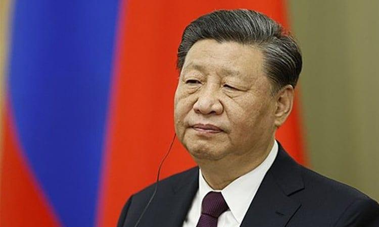 China supports Brazil in opposing 'interference': Xi to Lula | Business