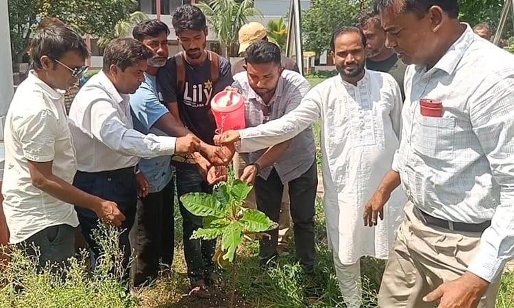 Fruit, forest tree saplings distributed among students in Rajshahi | District