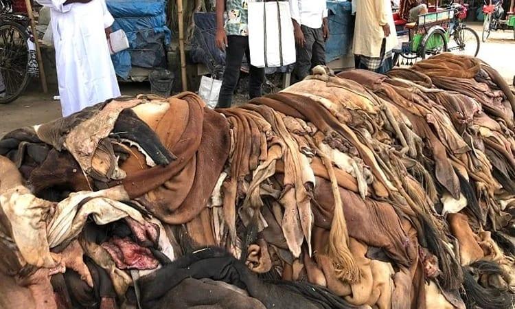 Protein filler, collagen to be produced from tannery waste | News Flash