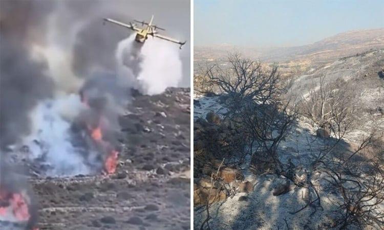 Firefighters battle blaze on Greek tourist island of Paros | International