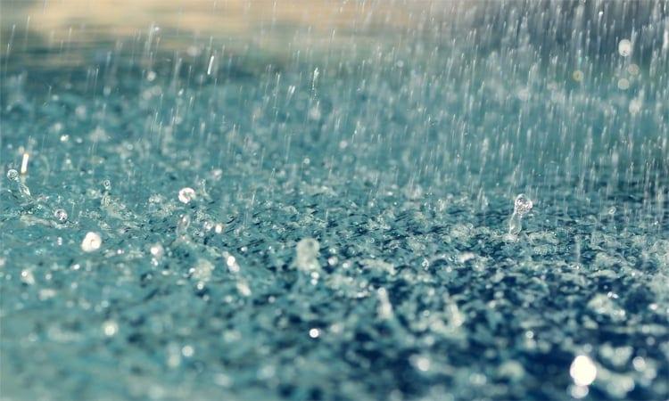 Light to moderate rain likely across country in next 24 hours  | News