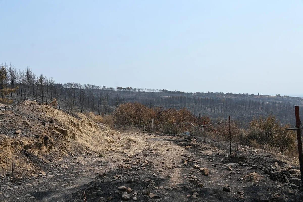 Wildfires rage near Turkey's tourist beaches | International