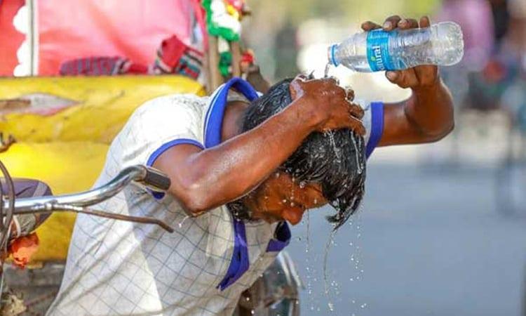 Extreme heat puts South Asia's jobs, growth at risk: WB | News Flash