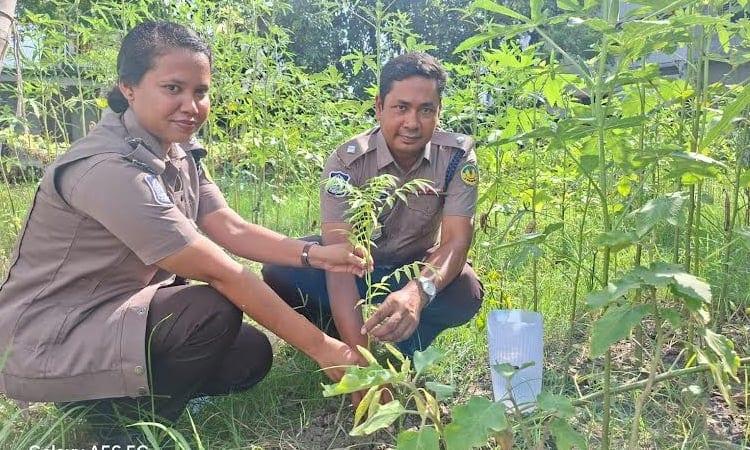 RMP's Rajpara Police Station plants fruit, forest tree saplings | District