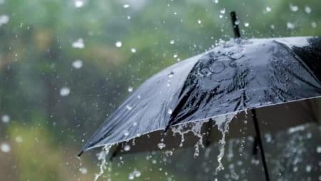 BMD forecasts rainfall till Aug 3 as active monsoon continues | News