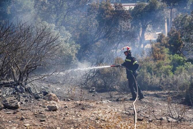 Firefighters in Greece struggle to save coastal resort as winds rage | International