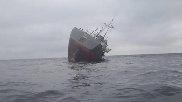 Ukraine sinks Russian-owned container ship in Black Sea: company | International