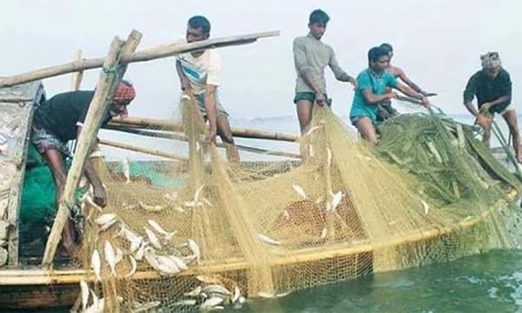 Rajshahi emerges as country’s leading freshwater fish producing region | Special Stories