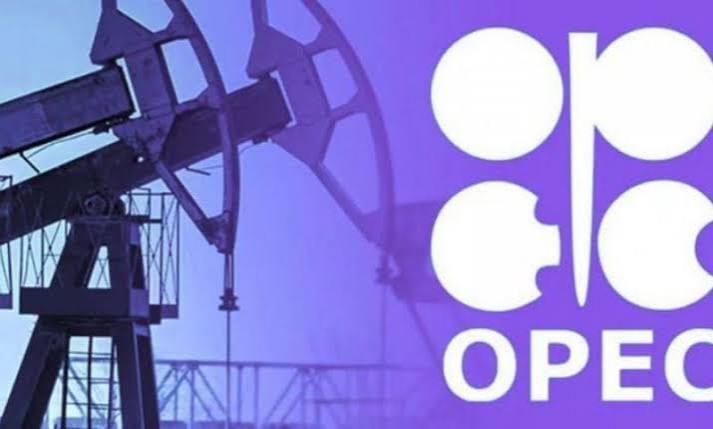 OPEC+ boosts September production by 188,000 barrels/day | Business