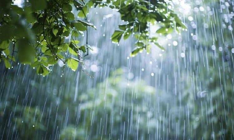Light to moderate rain likely across country | News