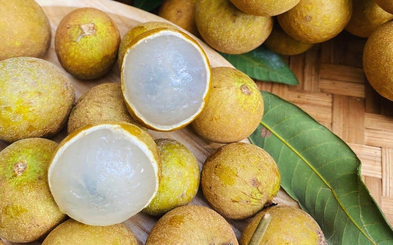 Vietnamese longan cultivation brings success to Khagrachhari young entrepreneur | Agriculture News