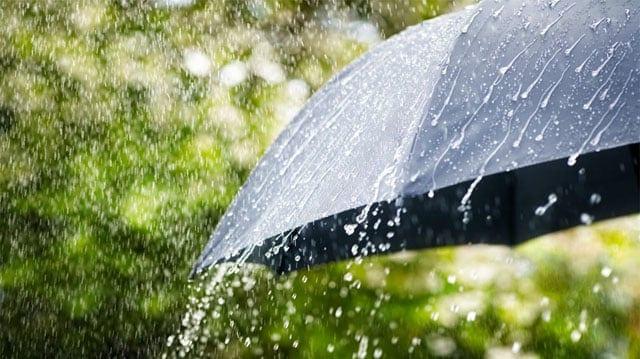 Rain likely in parts of country  | News