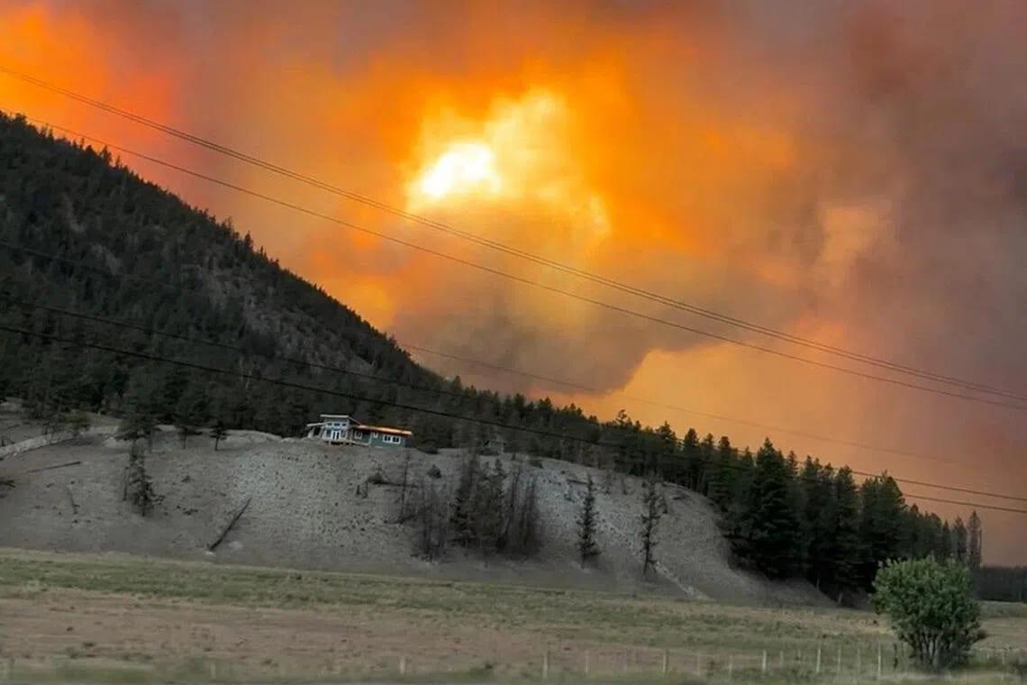 Climate change made Canadian wildfires twice as likely: study | International
