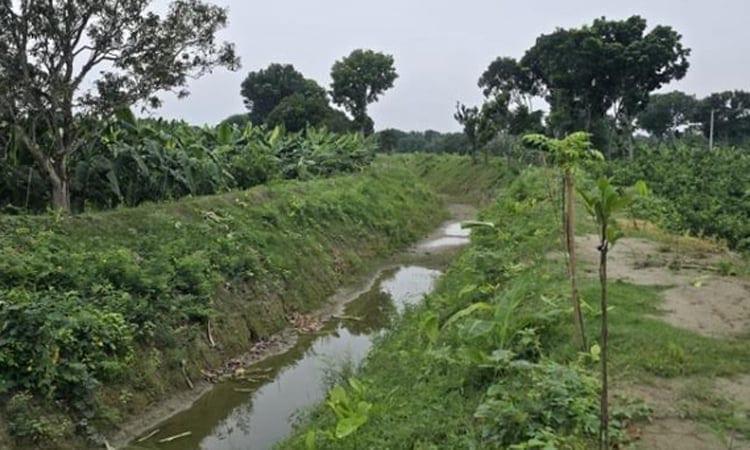 Re-excavation of dead canal brings irrigation relief in Rajshahi | Special Stories